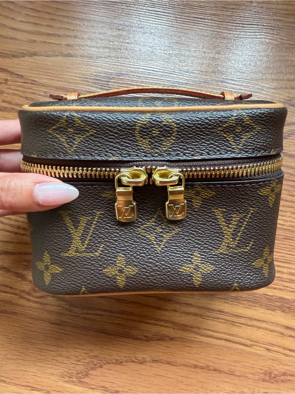 Louis Vuitton Monogram Nice Nano